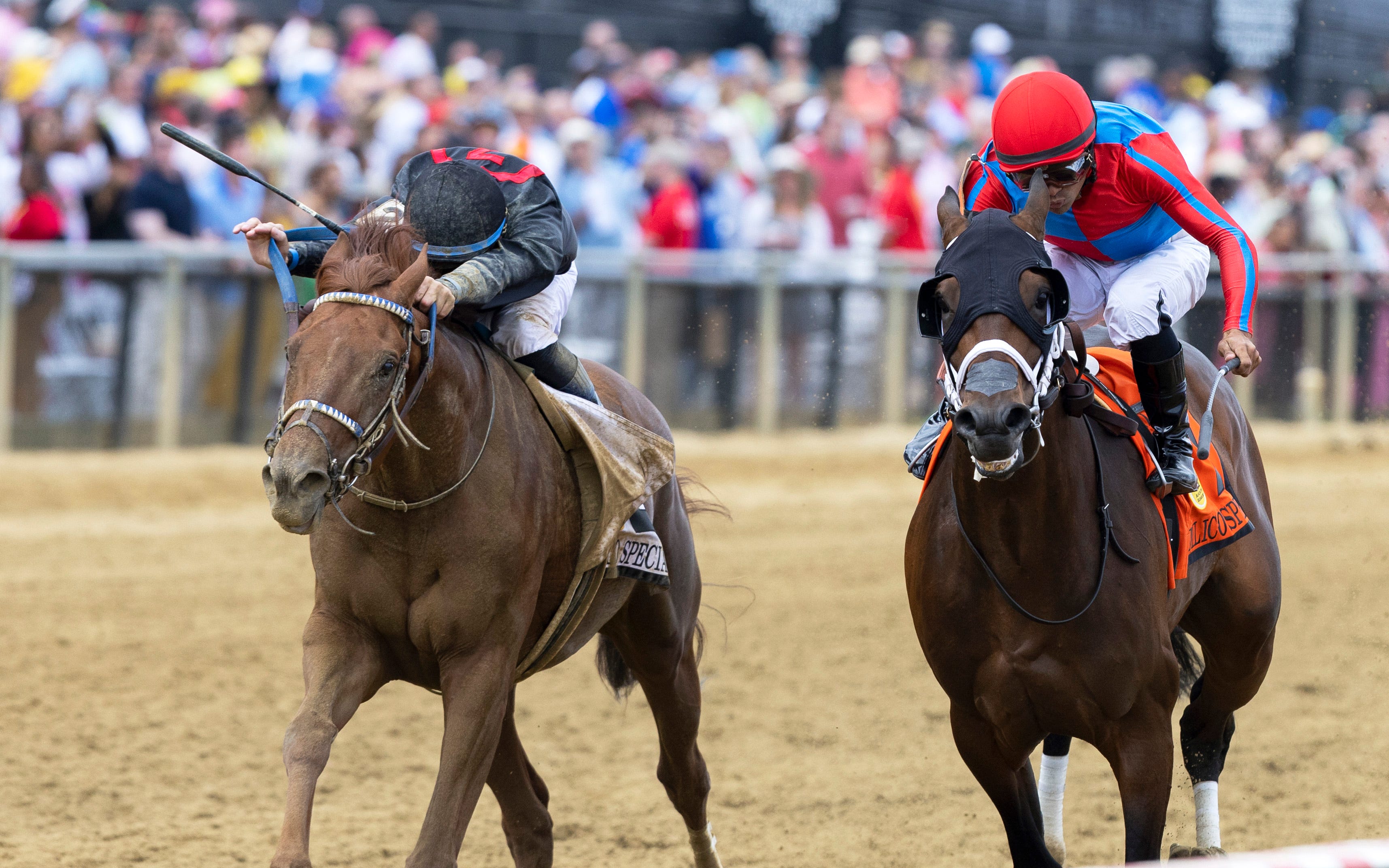 Prat goes back to back in Hilltop, Pimlico Special